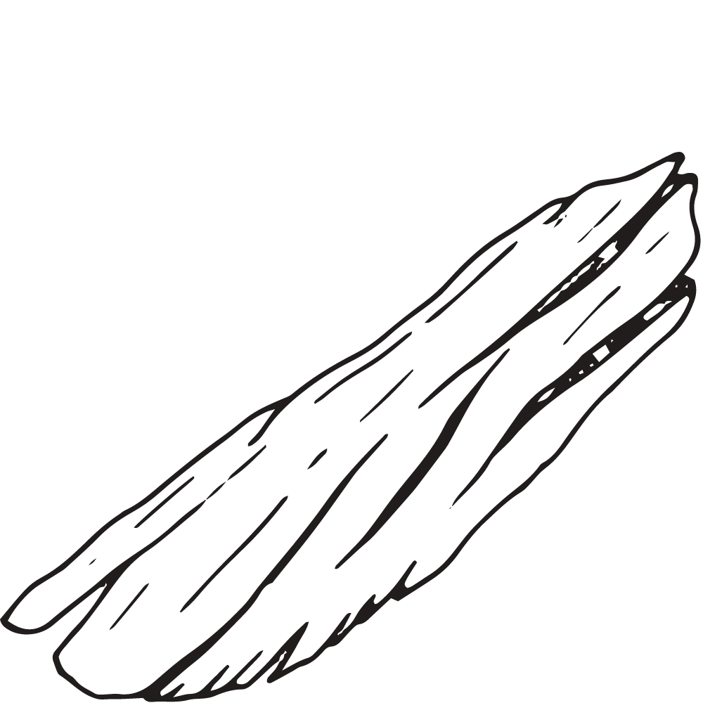 Sketch of sandalwood bark